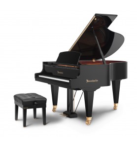 Vienna Concert 170VC de la marque Bösendorfer